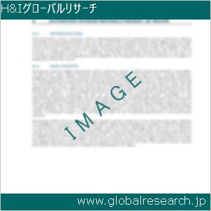 グローバルリサーチ調査レポートのイメージ